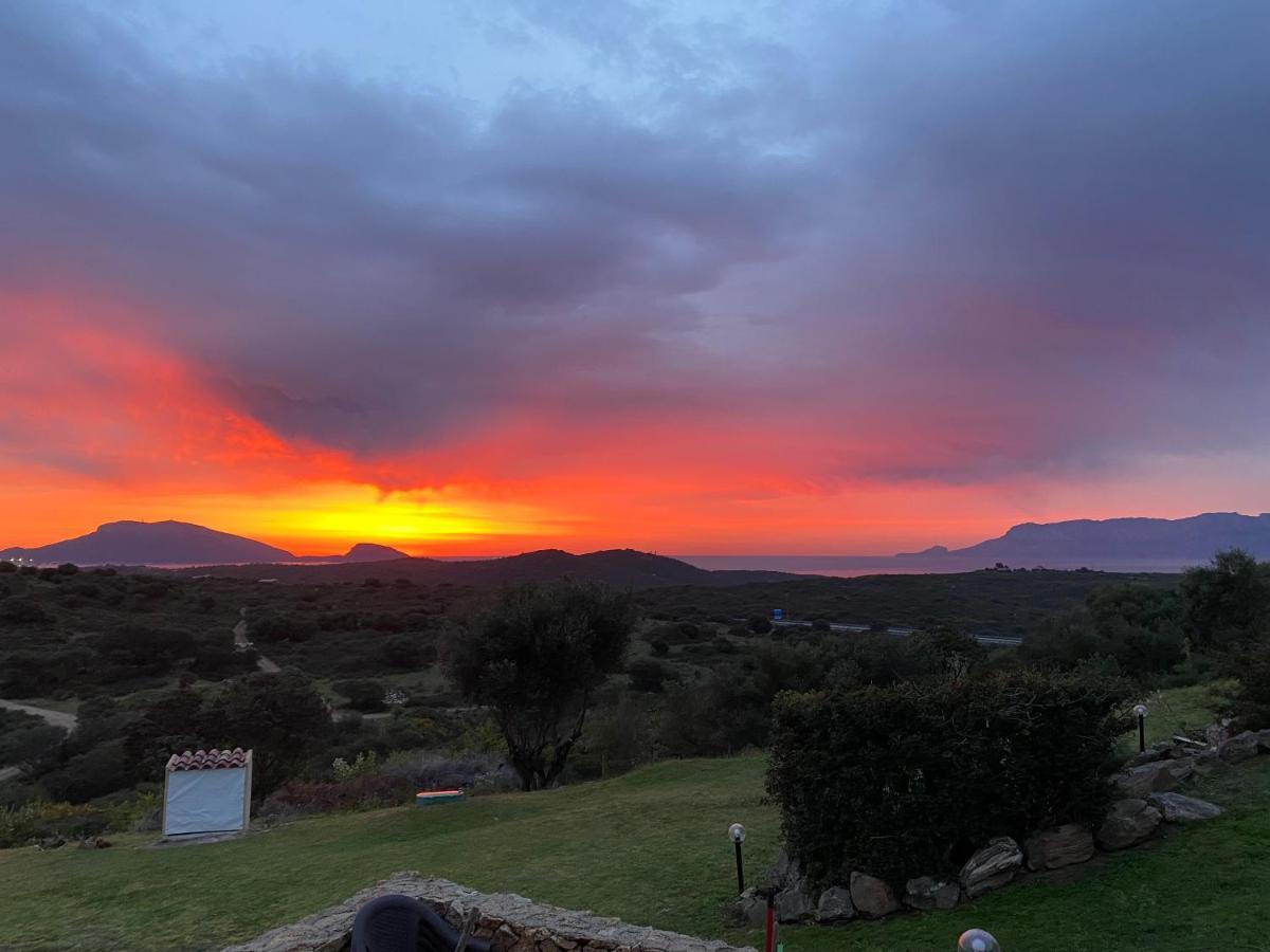 Casa Mirto Holiday home Olbia